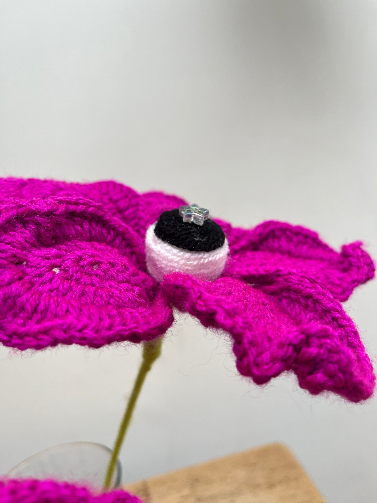 Magenta watching eye flower